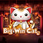 Big Win Cat screenshot